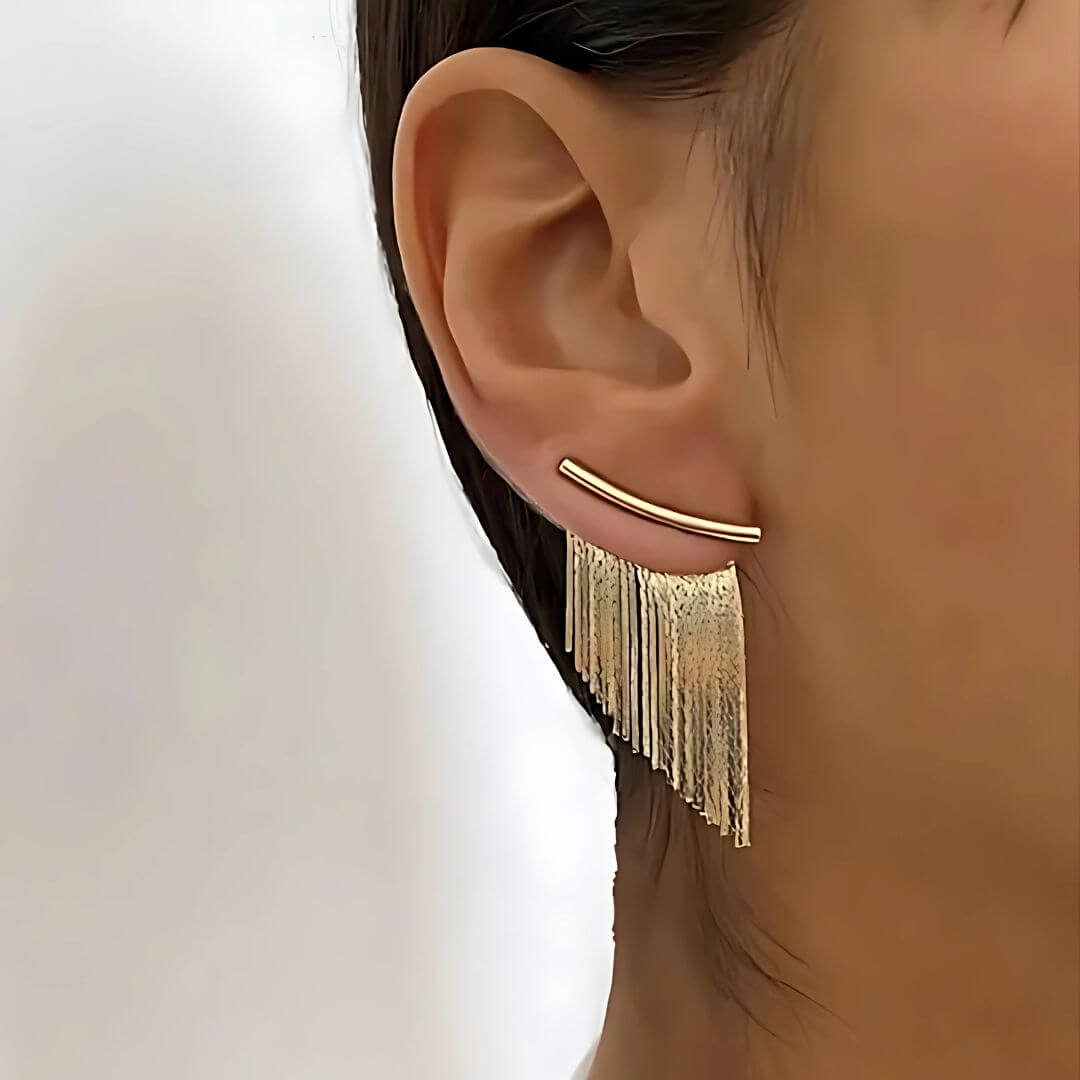 Silver Fringe Tassel Statement Earrings - Diane Jewelry